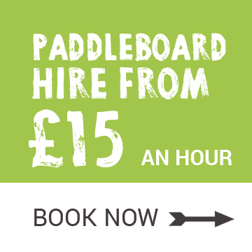 paddleboard hire